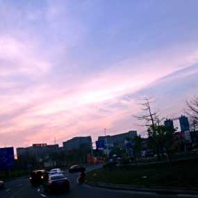 回家的路上