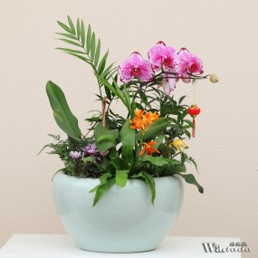 【百花争艳】