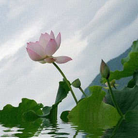 帆影