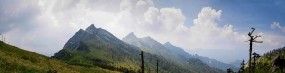 秦岭鹿角梁