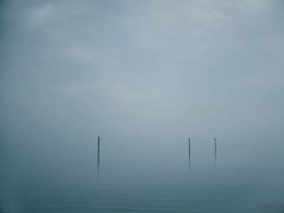 纯粹孤独