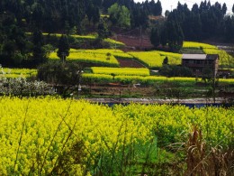 《绣丽山村》