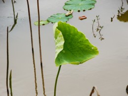 《傲视天地》