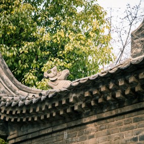 兴善寺小品