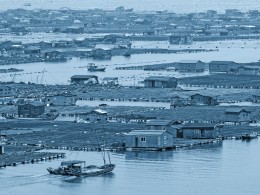 东安渔排