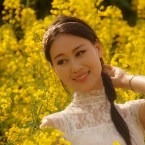 迟开的油菜花