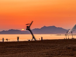 海日