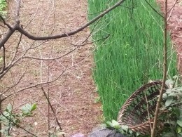 《平凡人生》