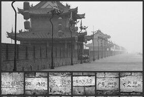 黑白治愈系