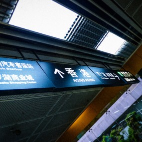 紫荆花的盛放