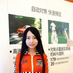活动作品