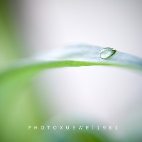 一滴水