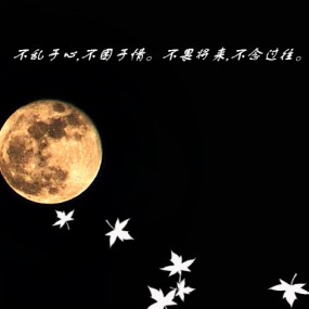 城里的月光