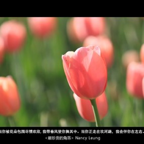 花2