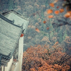 大香山的美