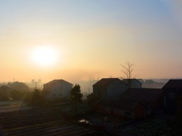 晨   曦
