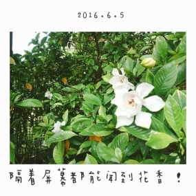 夏季的味道