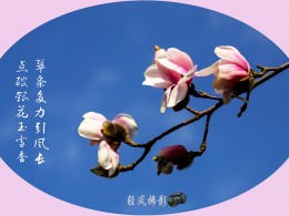 诗情花意二